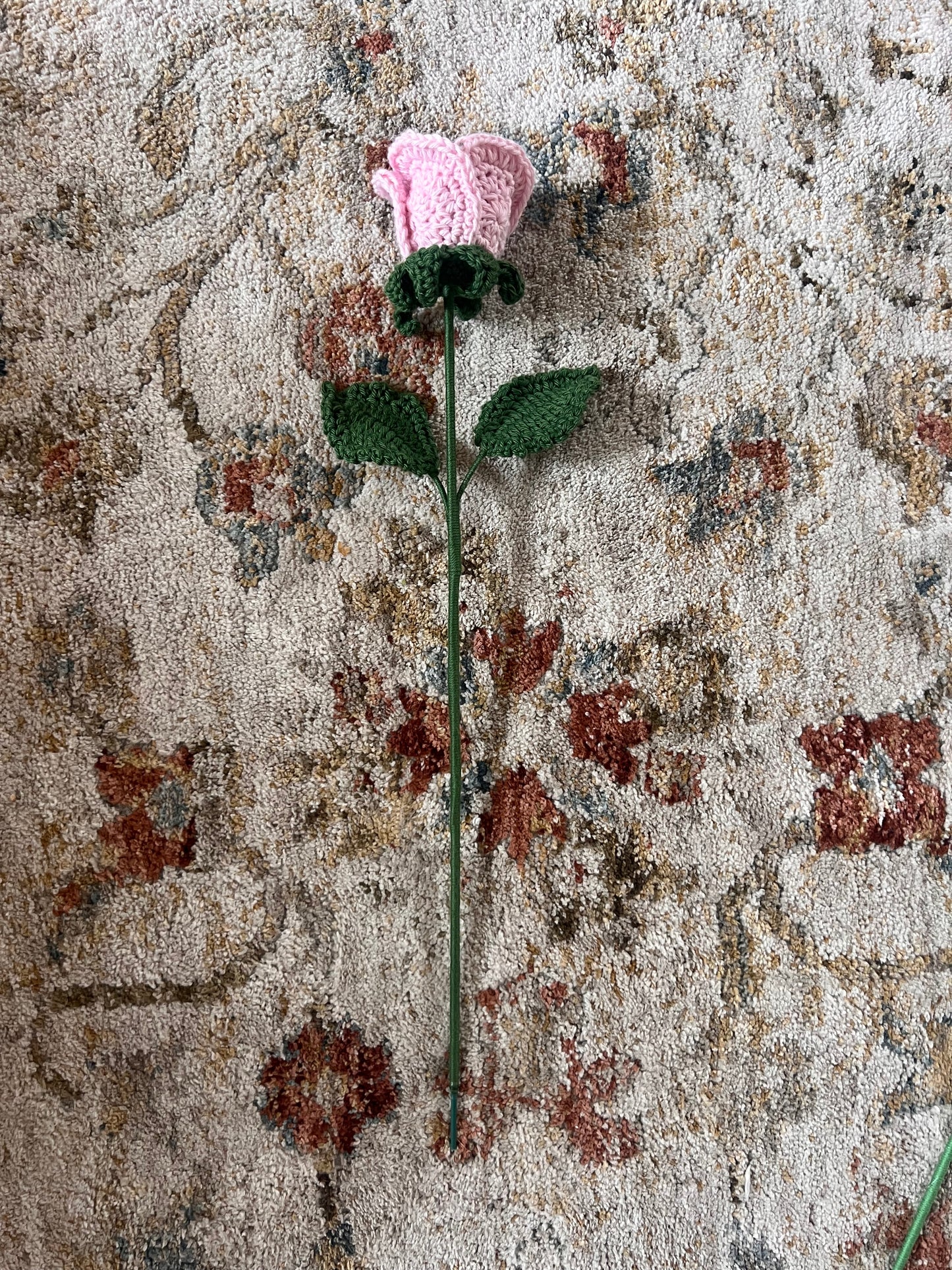 Classic Rose