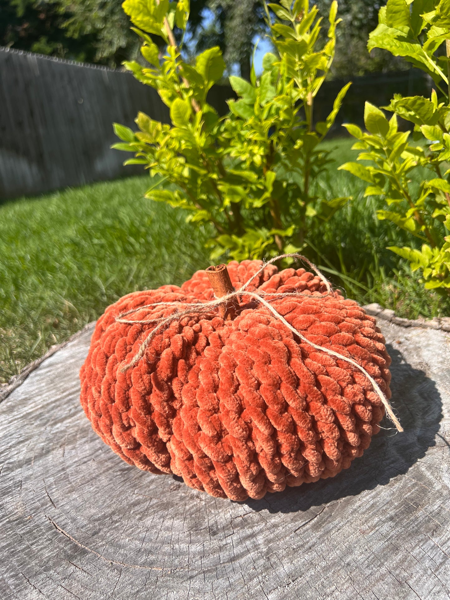 Heirloom Pumpkin