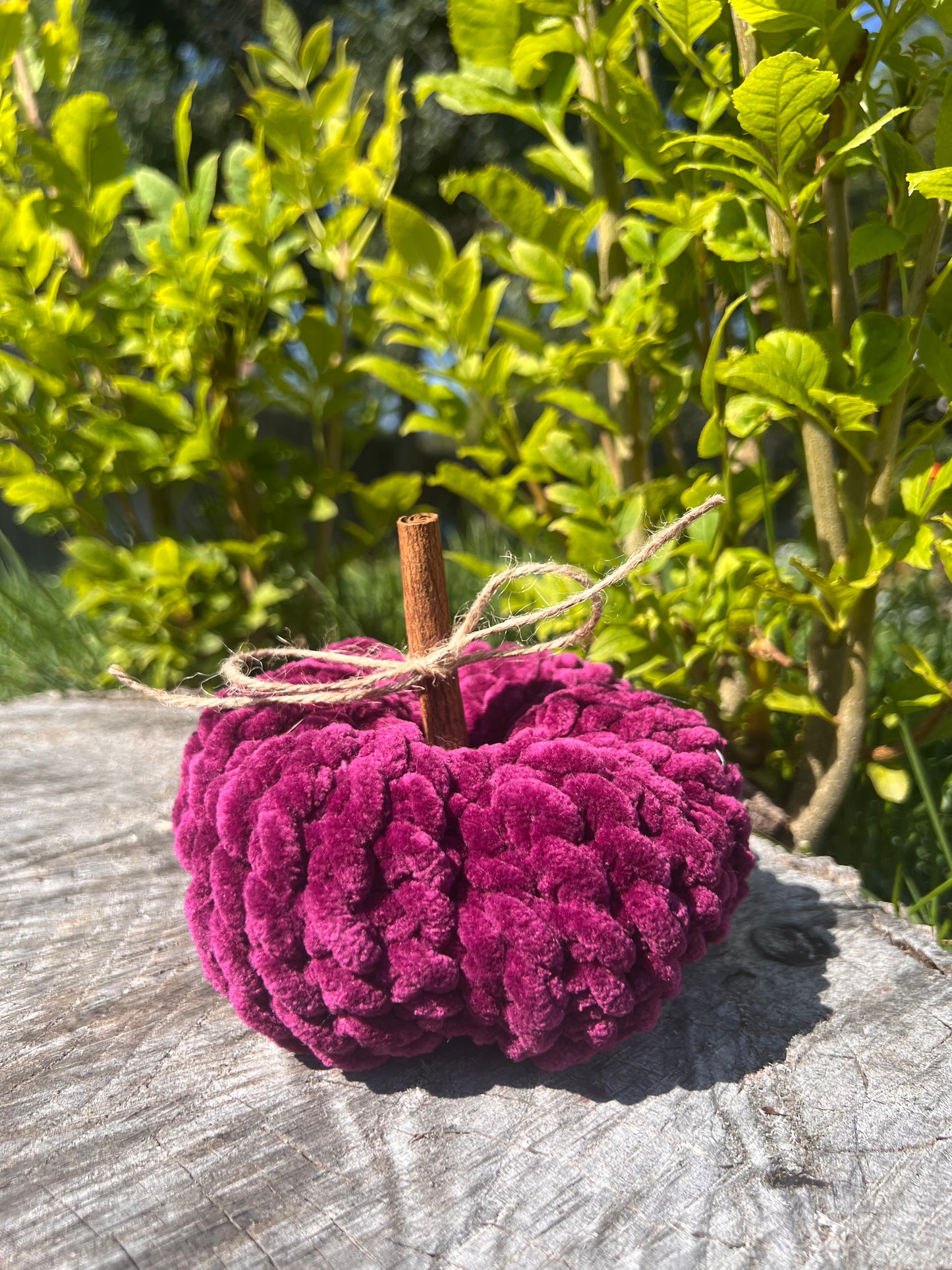 Heirloom Pumpkin