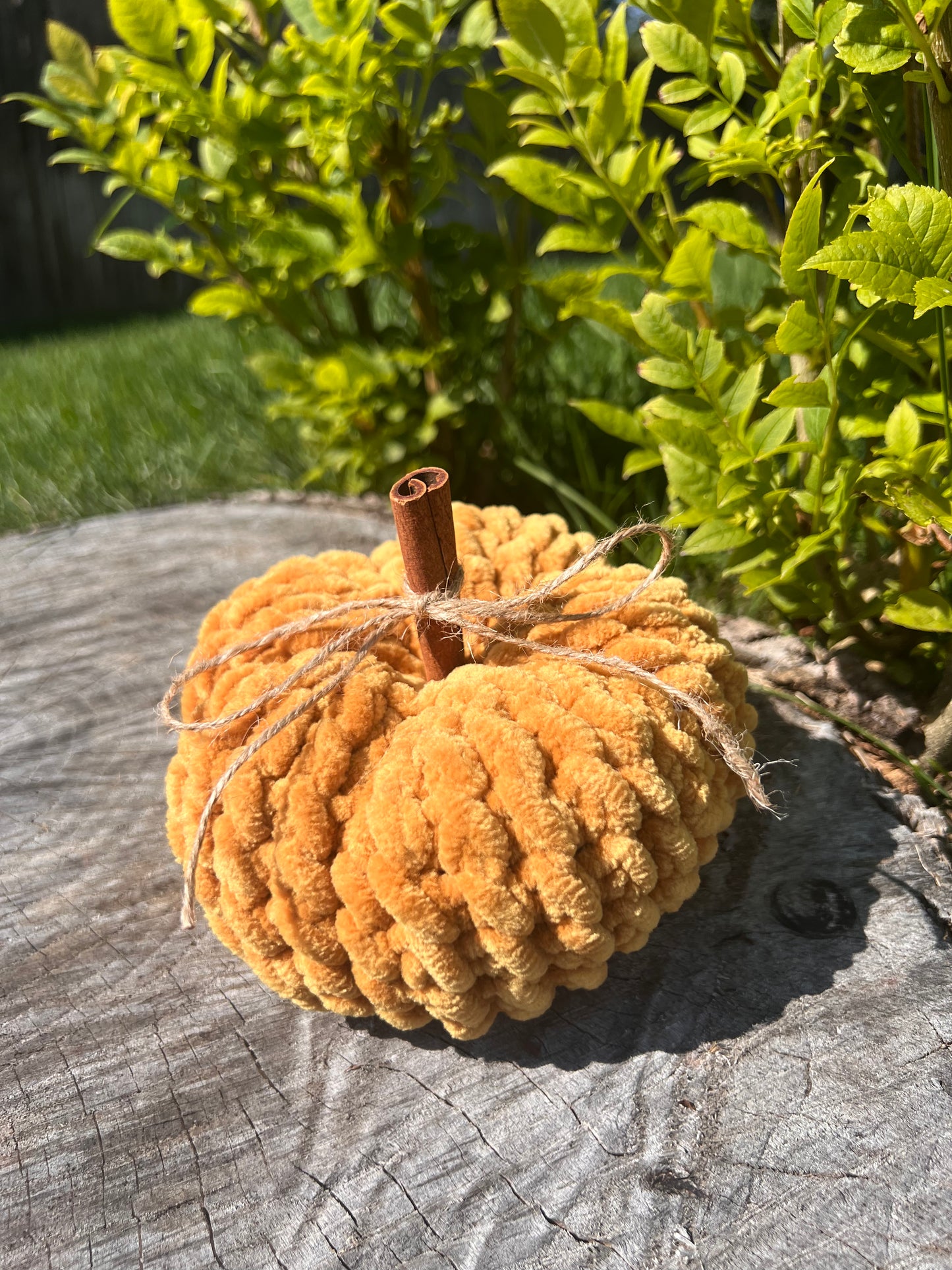 Heirloom Pumpkin