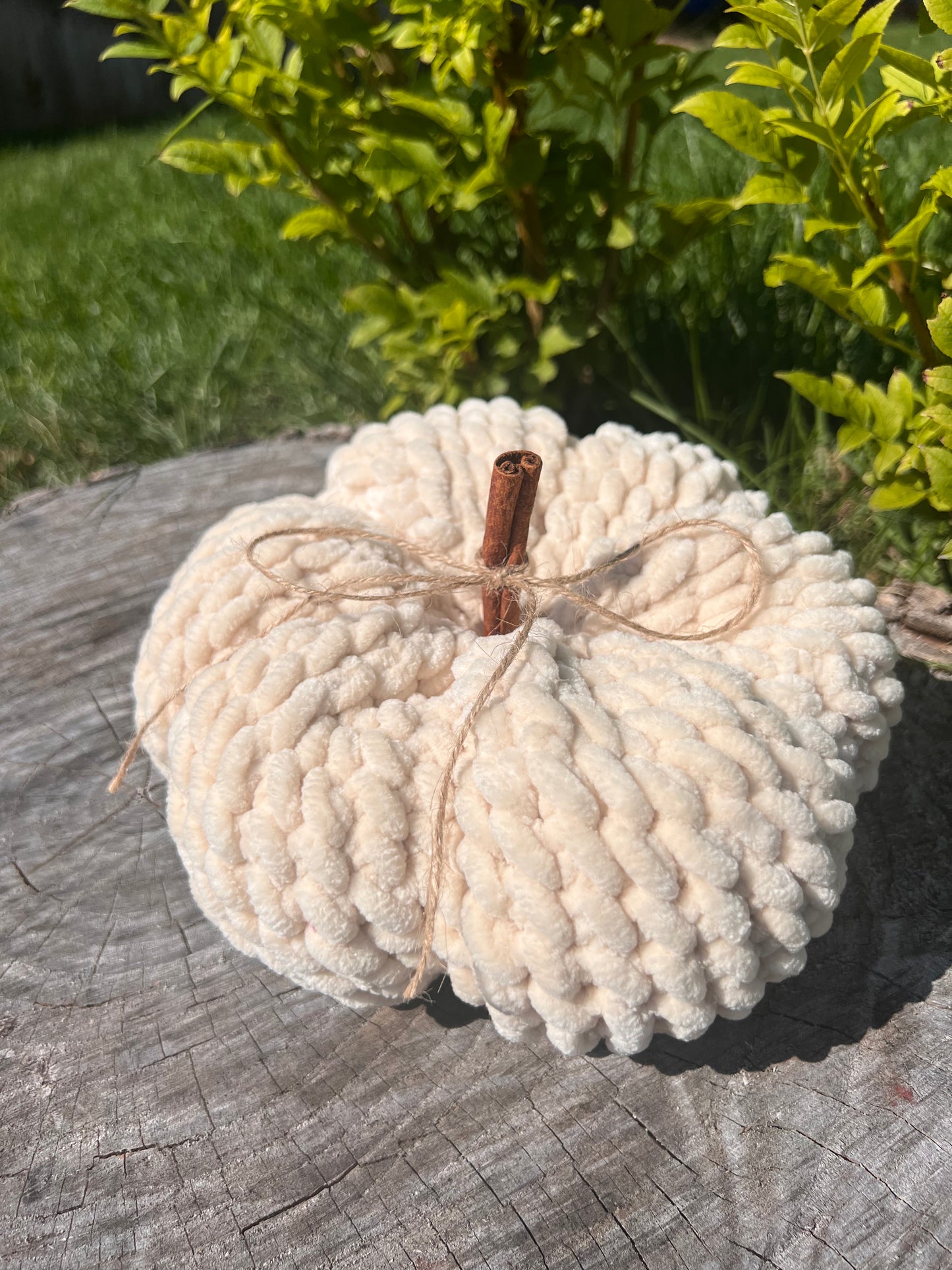 Heirloom Pumpkin