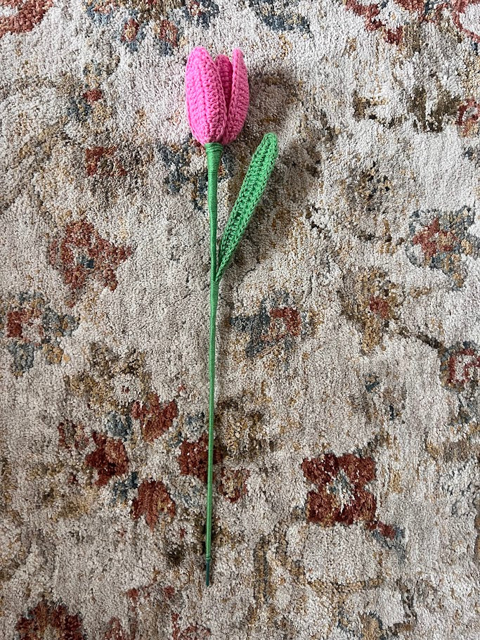 Tulips