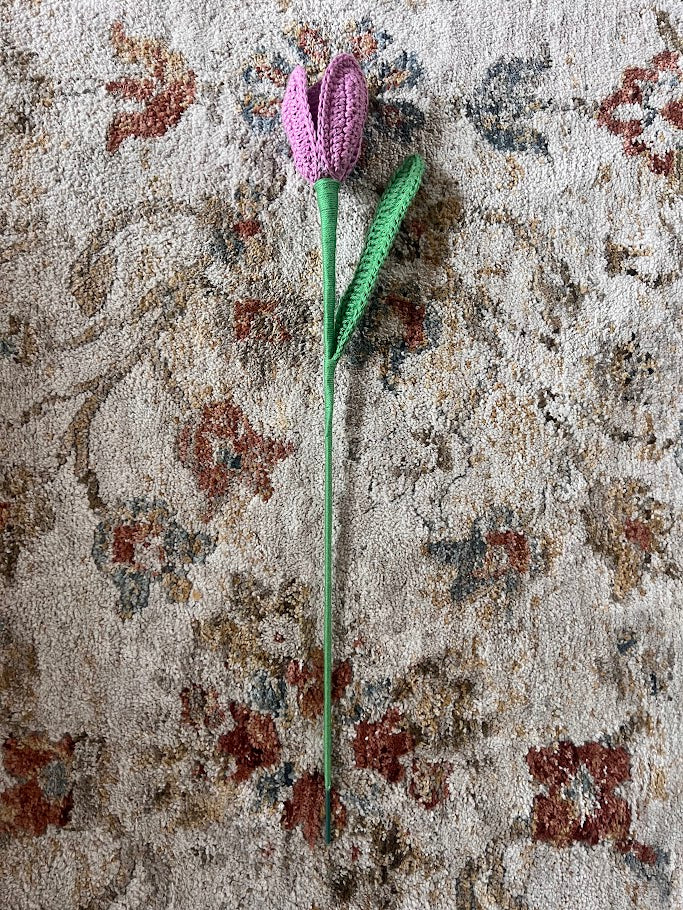 Tulips