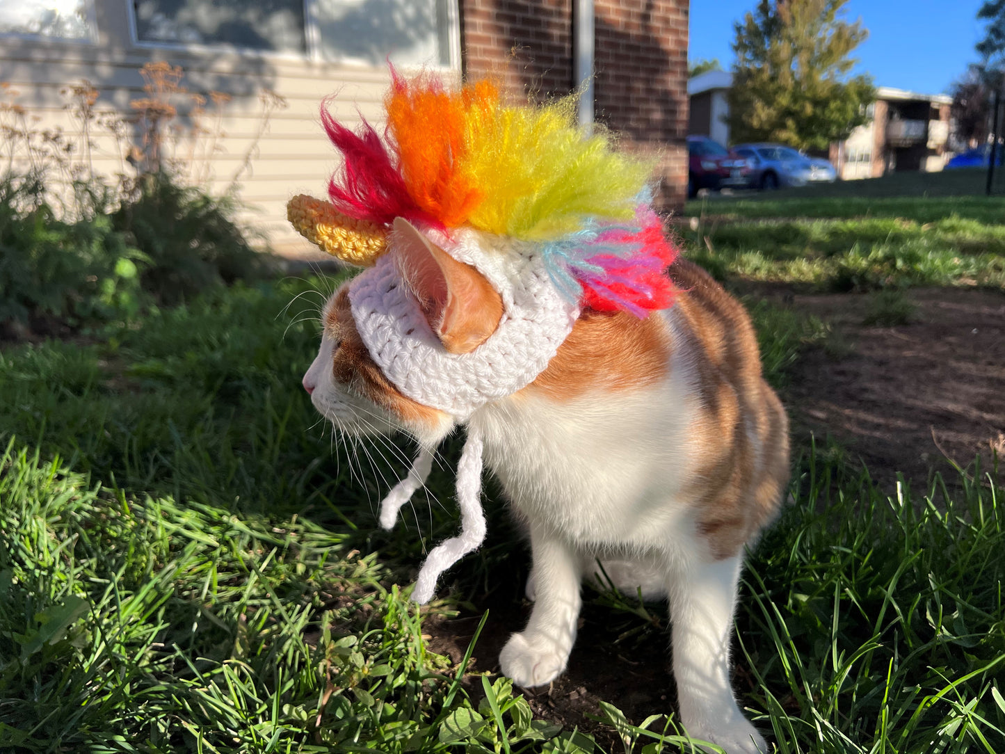 Meowgical Unicorn