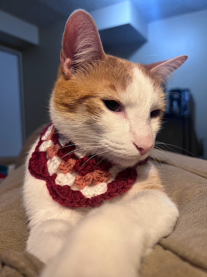 Valentine's Day Bandana