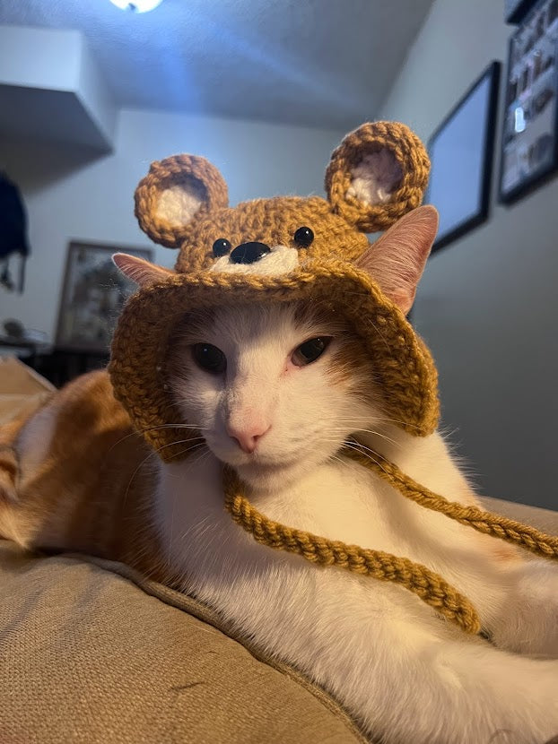 Teddy Bear Hat