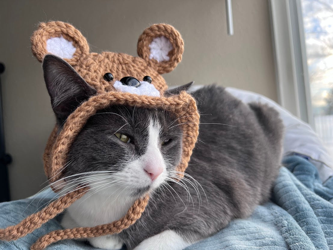 Teddy Bear Hat