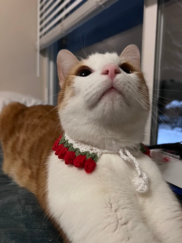 Tulip Cat Collar