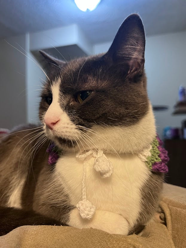 Tulip Cat Collar