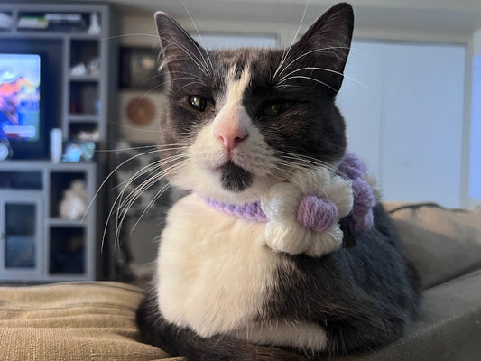 Puff Flower Cat Collar