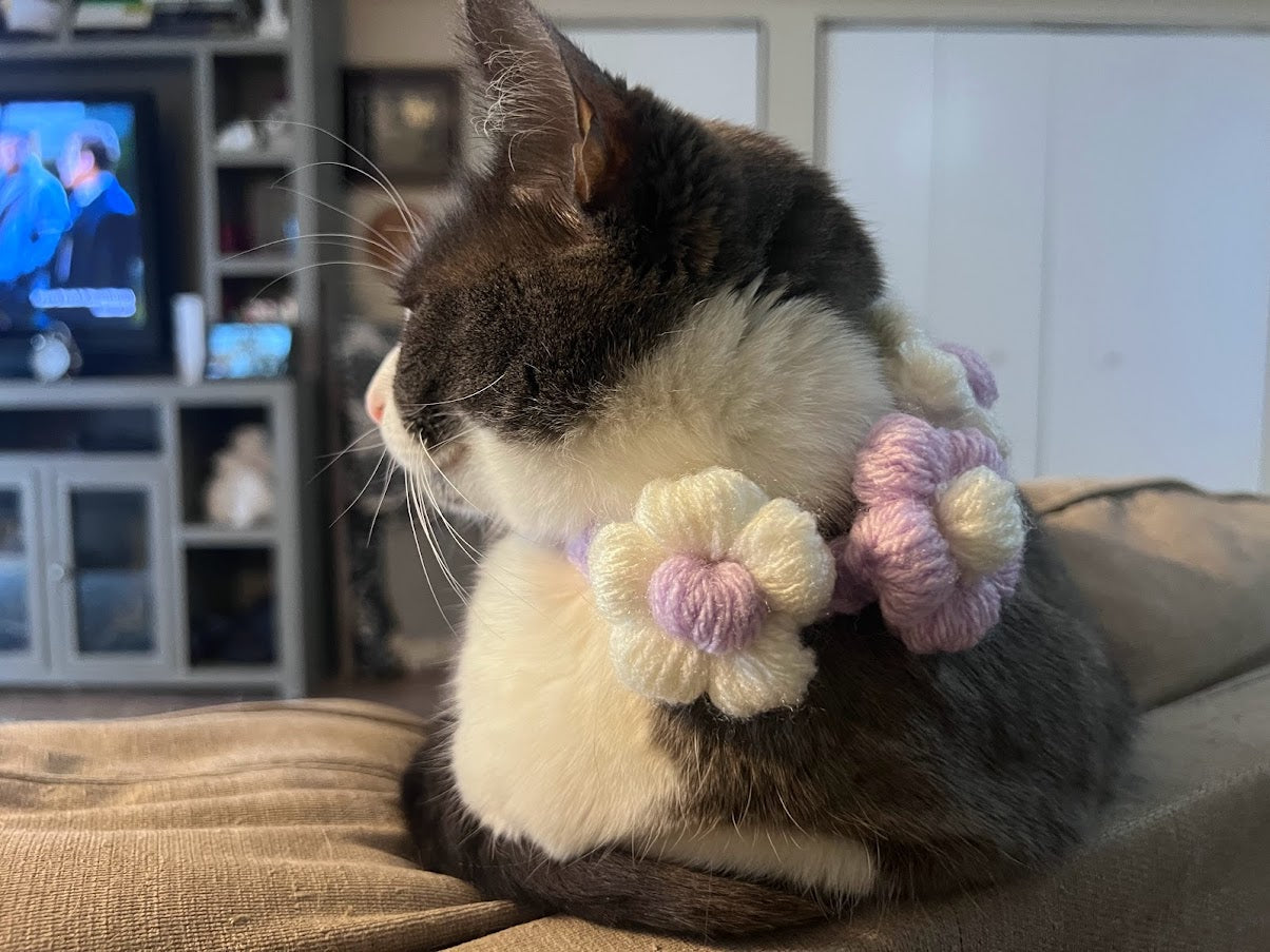 Puff Flower Cat Collar