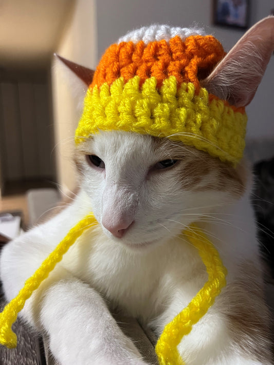 Catty Corn