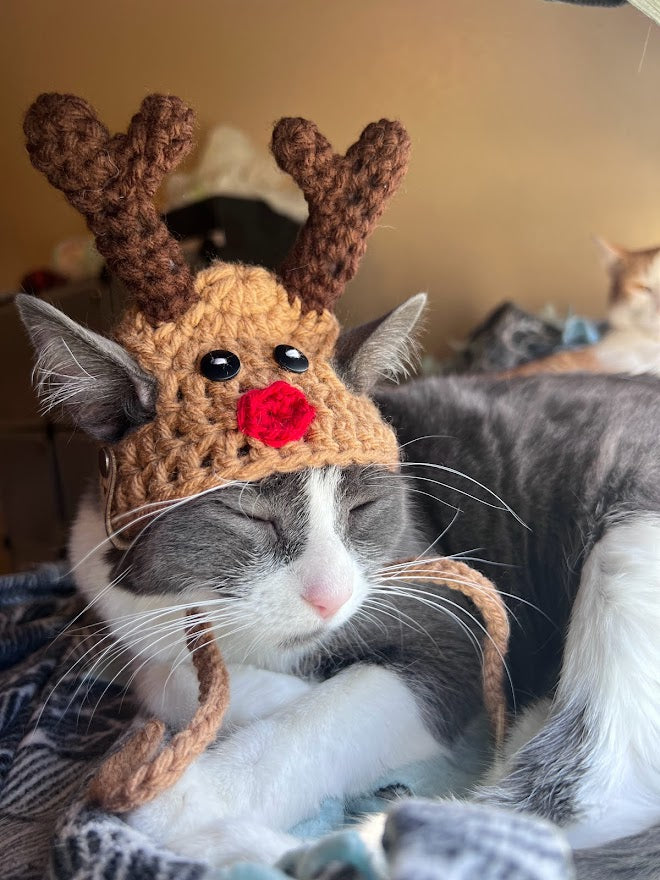 Rudolph Cat Hat