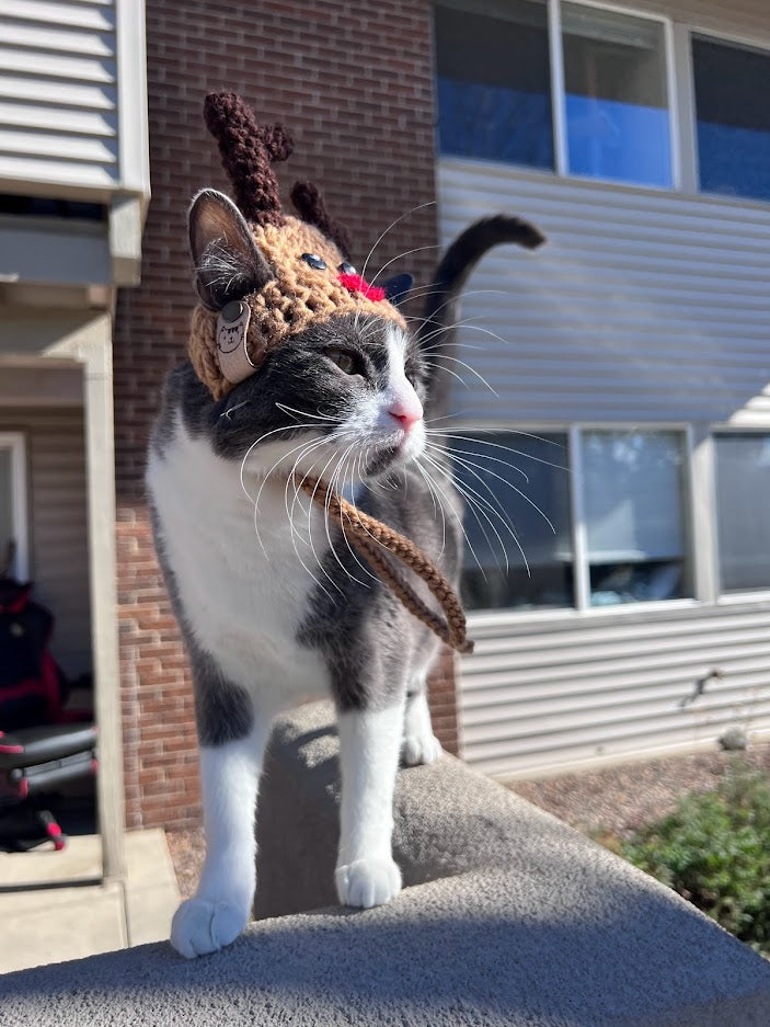 Rudolph Cat Hat