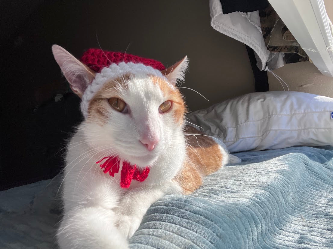 Santa Claws