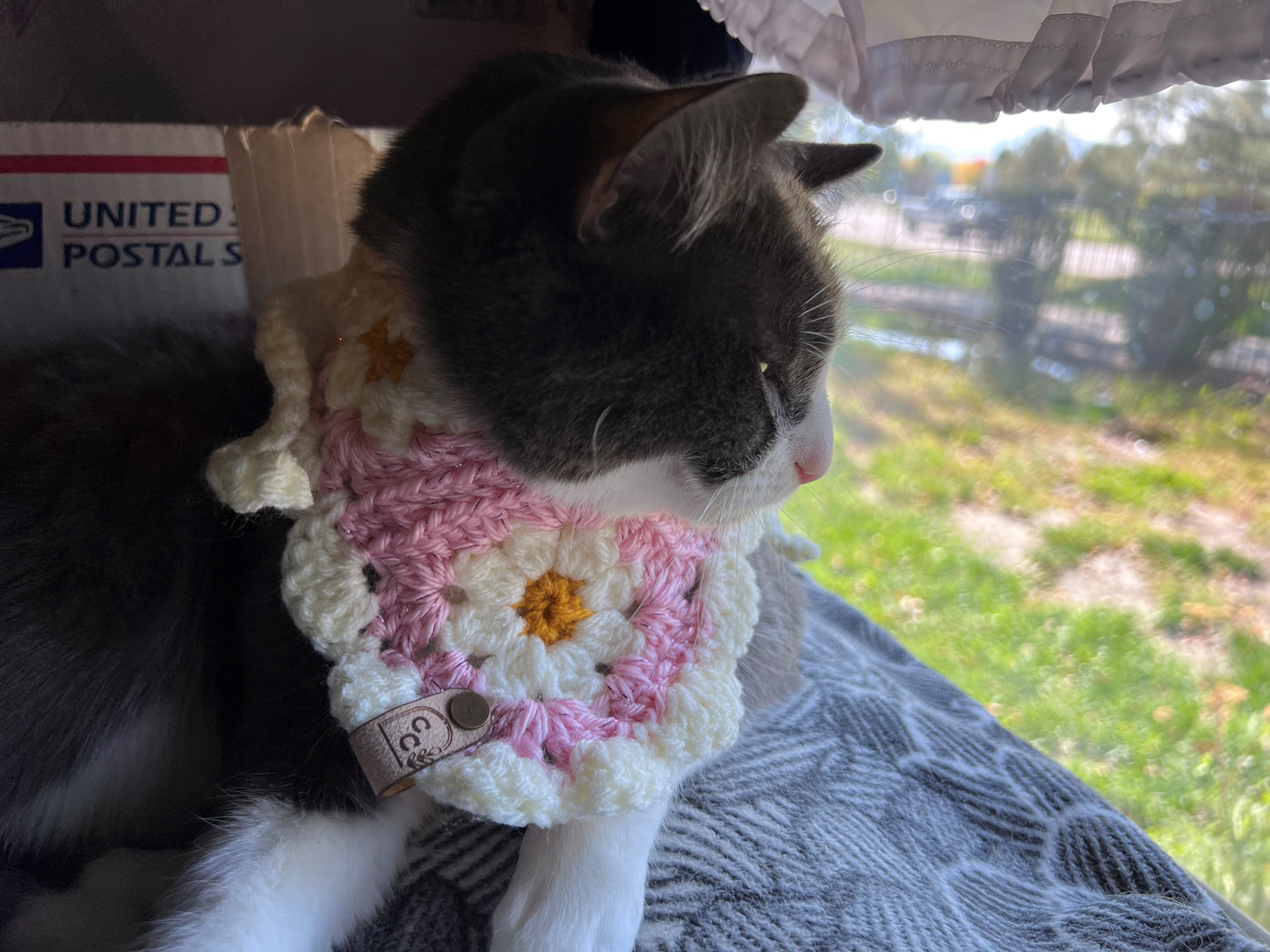 Daisy Bandana